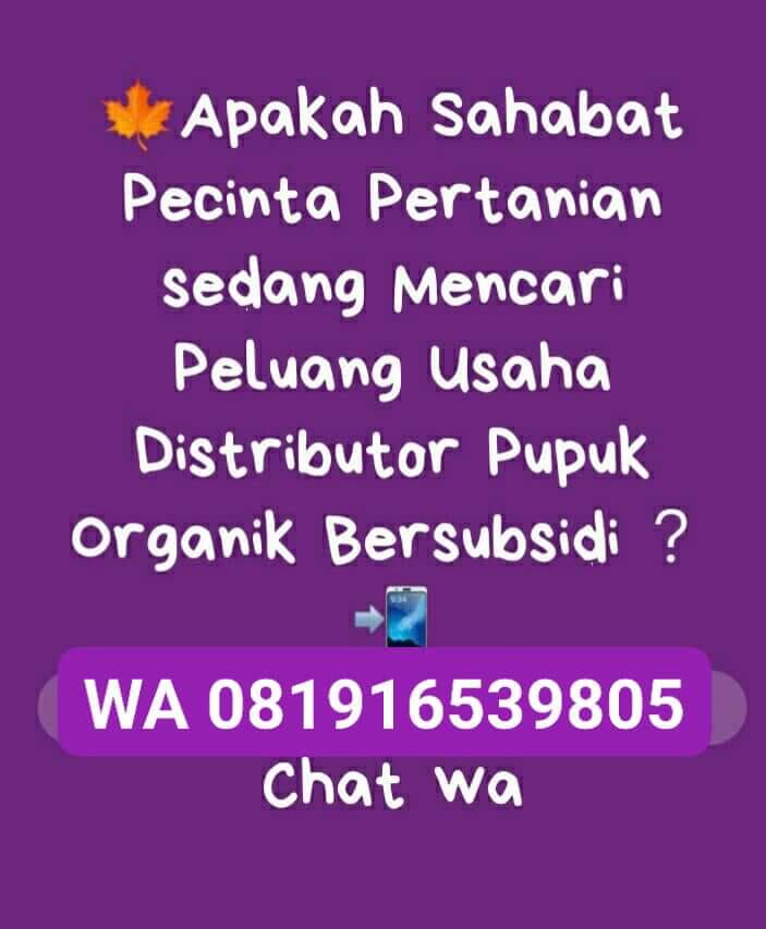 🔴 Peluang Usaha Distributor Pupuk Organik Bersubsidi wa.me/6281916539805