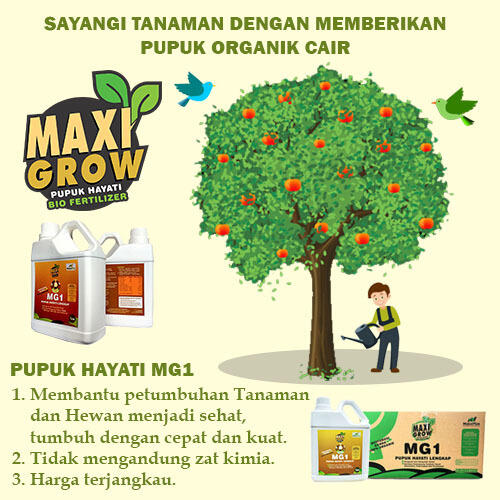 🔴 Peluang Usaha Distributor Pupuk Organik Bersubsidi wa.me/6281916539805
