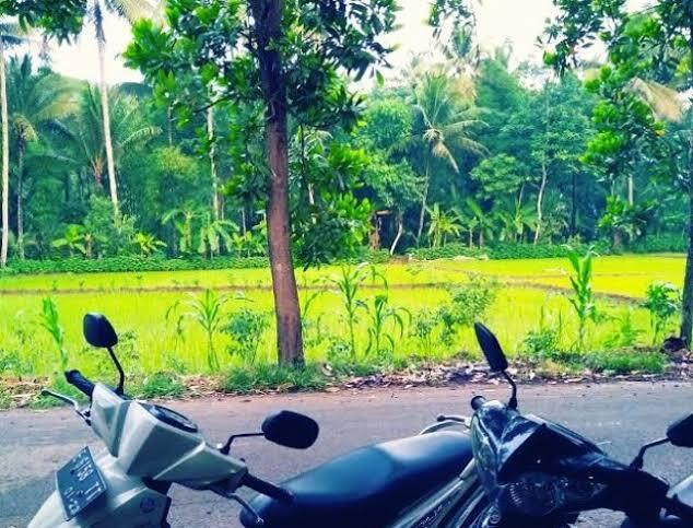 Perbedaan Orang Kota Jember Dan Desa Jember Menghadapi Ramadan Ditengah Corona
