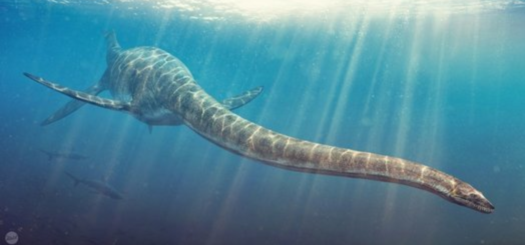 7 Monster laut prasejarah yang jauh lebih seram dari hiu putih! Cari Tau Yuk