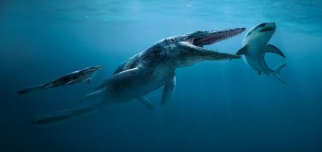 7 Monster laut prasejarah yang jauh lebih seram dari hiu putih! Cari Tau Yuk