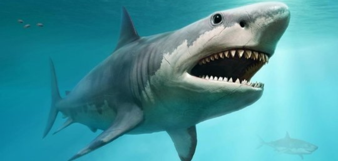 7 Monster laut prasejarah yang jauh lebih seram dari hiu putih! Cari Tau Yuk