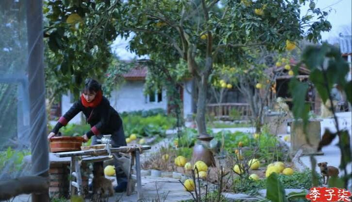 Li Ziqi, YouTuber China Sulap Kehidupan Desa Jadi Negeri Dongeng