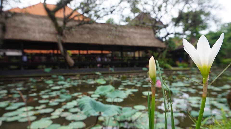 Eksplorasi Destinasi Wisata Tersembunyi di Bali