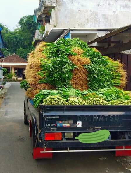 Lagi Viral! Pedagang Buang Sayuran Ke Sungai