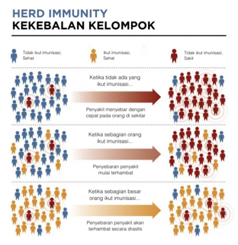 Ramai Dibicarakan Apa itu Herd Immunity?