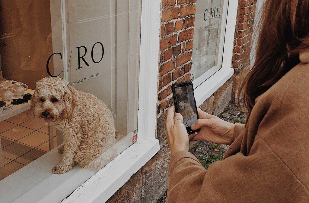 More than Just “Stories”, Sprucing Instagram Account for Optimal Promotion
