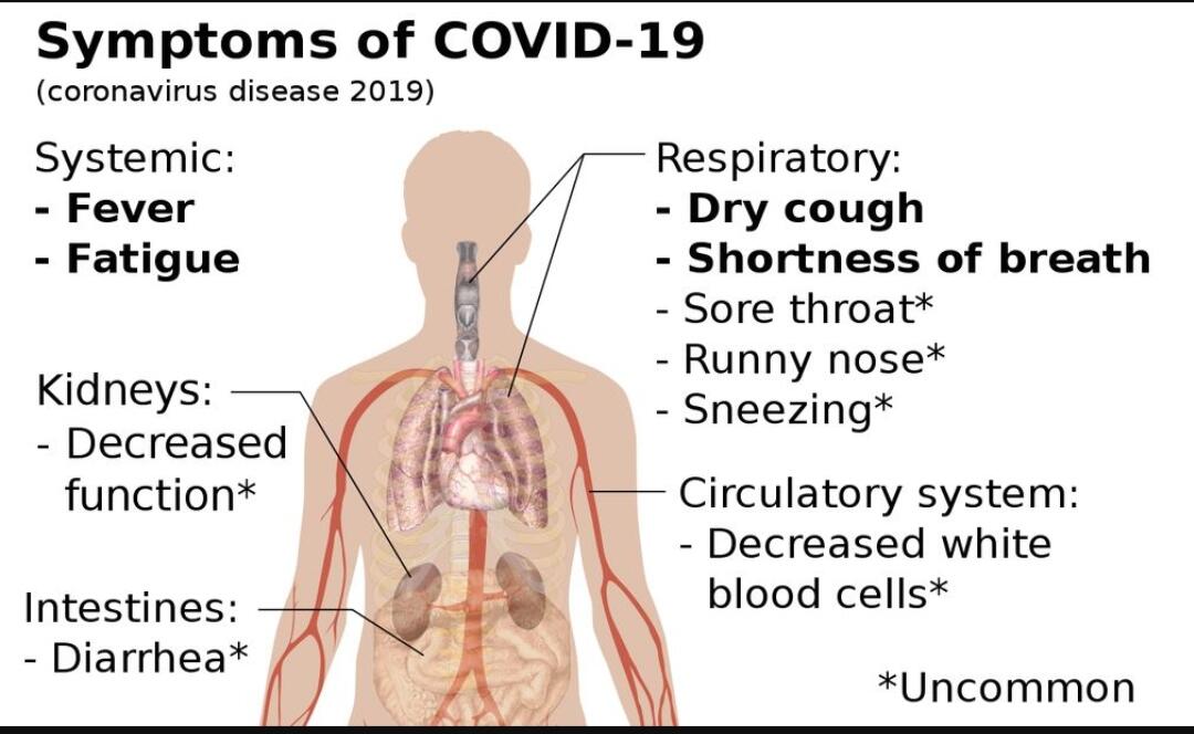 Side Effects Of Coronavirus
