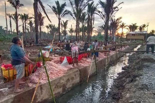 Warga Jayapura Mulai Kembali ke Kebun untuk Bekerja