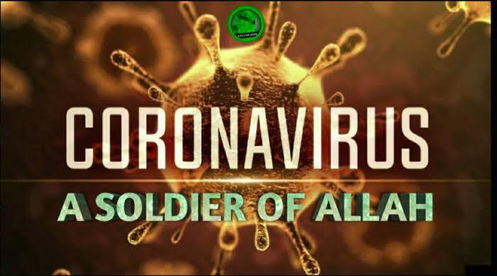 Lockdown Kelar, WHO: Tragis, Corona Cetak Rekor Tertinggi!