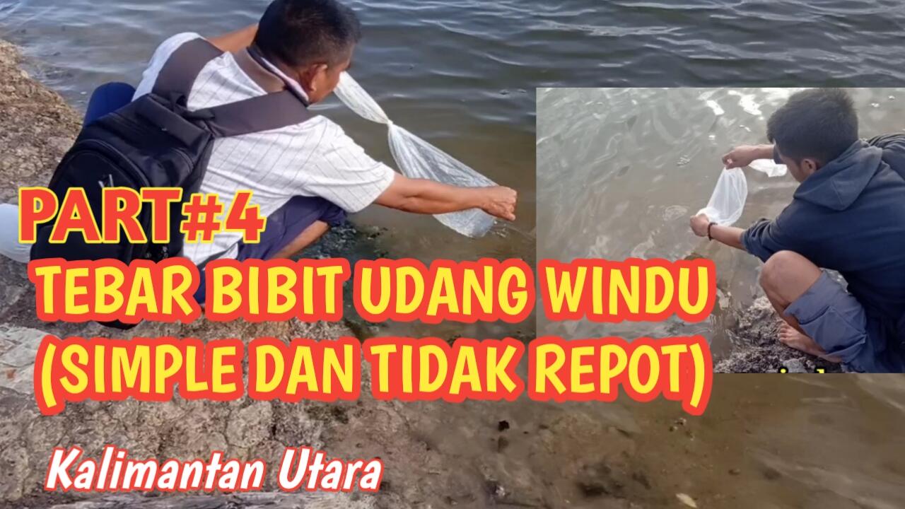 BELAJAR PERIKANAN TRADISIONAL ( UDANG WINDU DAN IKAN BANDENG) 