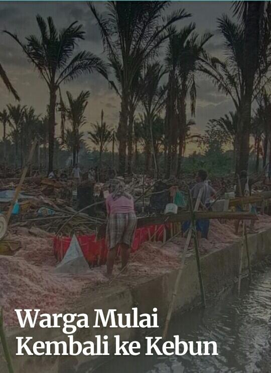 Warga Sentani Mulai kembali Ke Kebun 