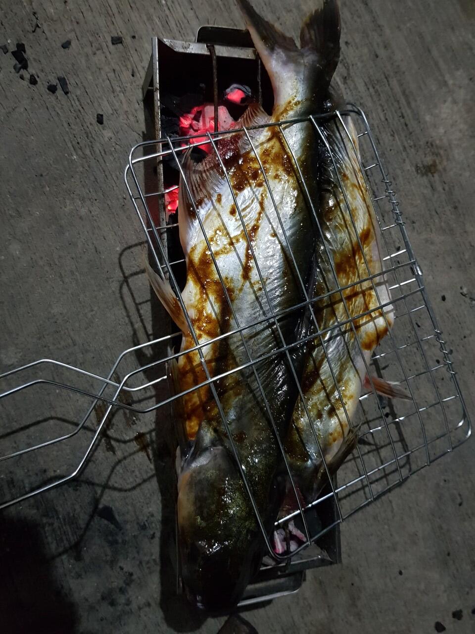 Patin Bakar