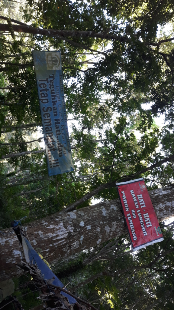 Pendakian Pertama, Gunung Penanggungan Miniatur Semeru