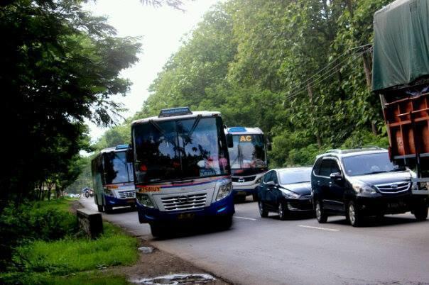 2 Bus Penguasa Jalanan dari Jawa Timur, Siapa yang Terbaik?