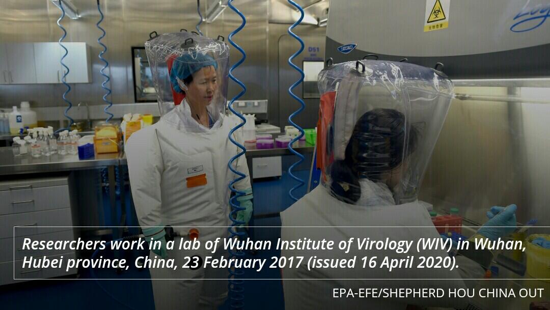 Laboratorium di Wuhan Akui Simpan Virus Corona Sejak 2004, tetapi ... 