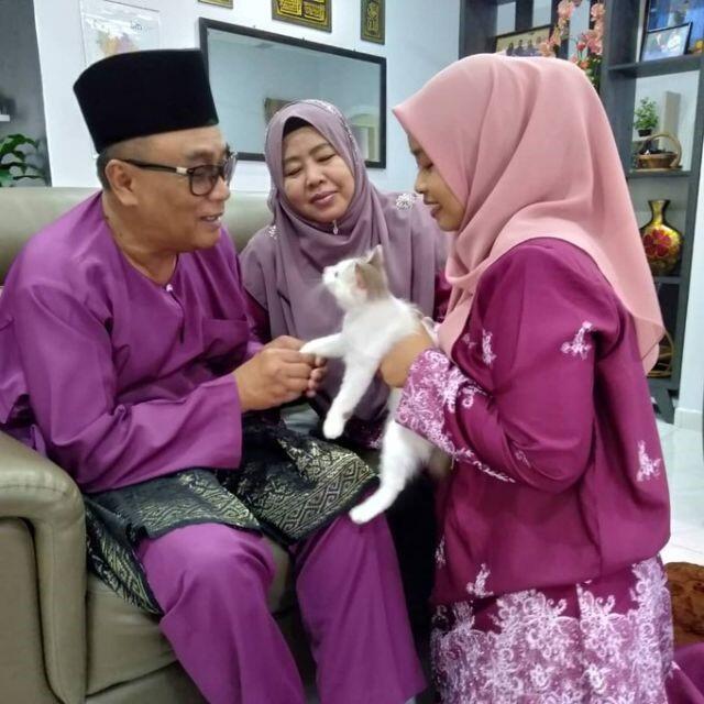 Kucing Aja Minta Maaf Pas Lebaran, Masa Kamu Nggak?