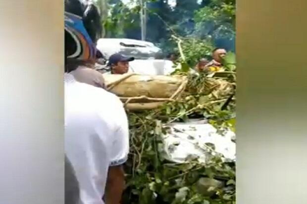 Mobil Tertimpa Pohon, Bocah 5 Tahun Anak Anggota DPRD Tewas Terjepit