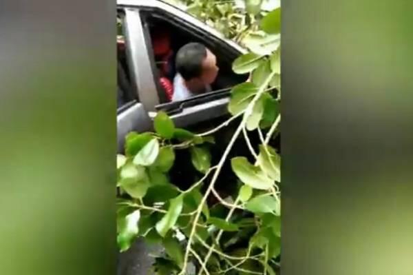 Mobil Tertimpa Pohon, Bocah 5 Tahun Anak Anggota DPRD Tewas Terjepit