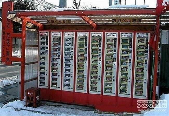 Dari nomer hp sampai daleman bekas, ini hal aneh yang dijual vending machine jepang.