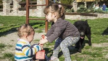 10 Akibat Orang Tua yang Selalu Menuruti Keinginan Anak, Yang ke 4 Horror!