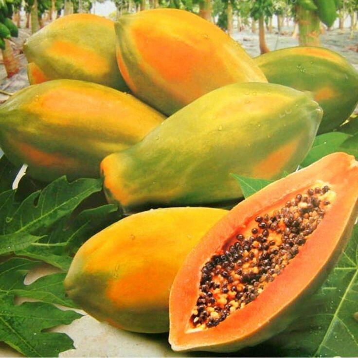Kolesterol Tinggi Setelah Lebaran? Yuk, Bantu Turunkan Dengan 5 Buah Berikut