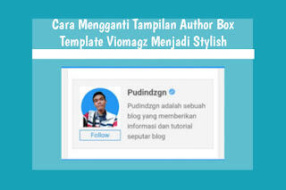 Cara Mengganti Tampilan Author Box Di Viomagz