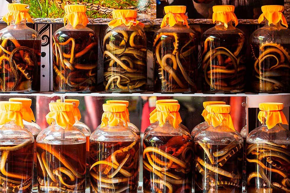 12 Makanan Paling Ekstrem dan Aneh di Dunia, Berani Makan?