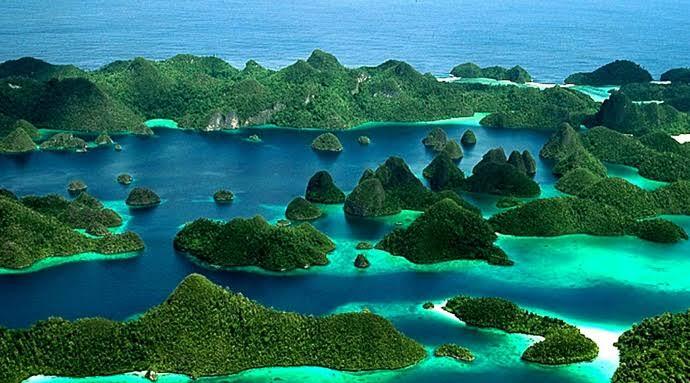 Tidak Hanya Raja Ampat, Papua juga Tempat Lahirnya Orang Hebat