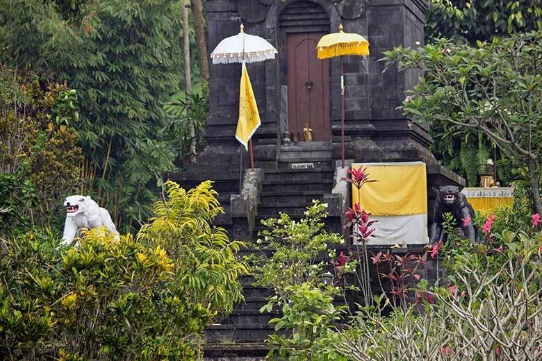 5 Hutan Terangker di Indonesia