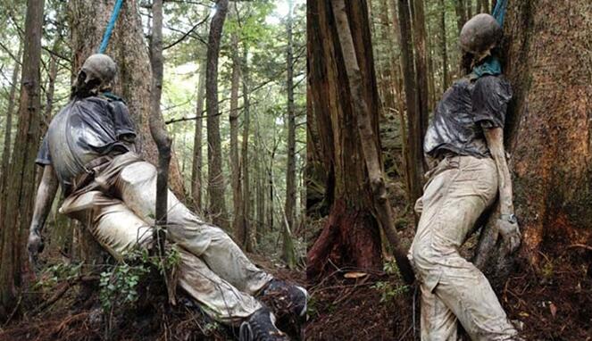 5 Hutan Terangker di Indonesia