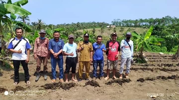 'Pohon Duit' Siapa Yang Tak Tergiur Menanam Tanaman Ini