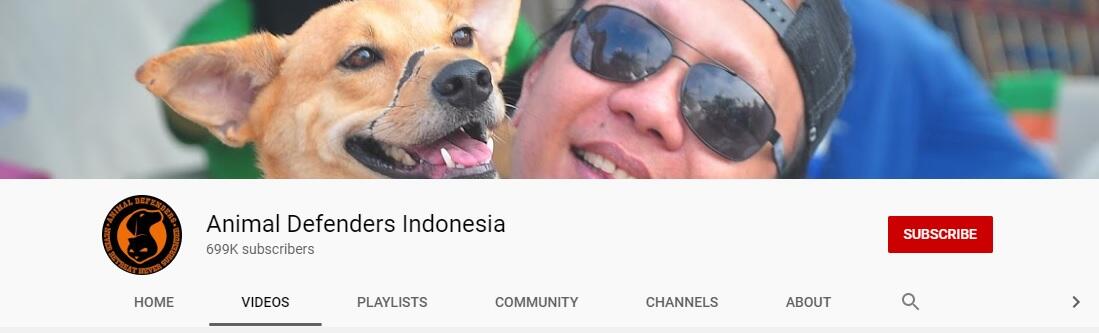 Rekomendasi Youtube Channel Buat Agan Pecinta Anjing