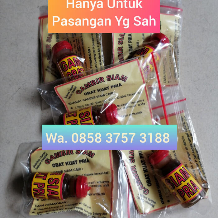 Gambir pekanbaru toko jual gambir pekanbaru obat kuat herbal oles gambir di pekanbaru