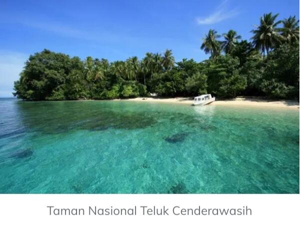  Tempat- Tempat Wisata Terkeren Di Papua