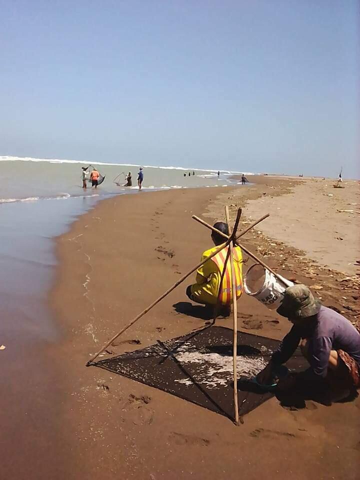 Surga Bahari, 9 Pantai di Cianjur Selatan Ini Wajib Anda Kunjungi