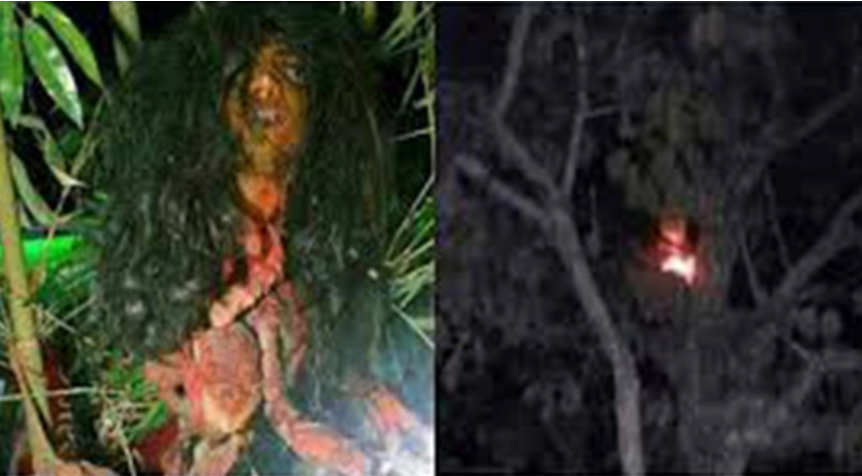 Viral! Penampakan Hantu Kuyang dari Jarak Dekat, Ditangkap Ki Suryo