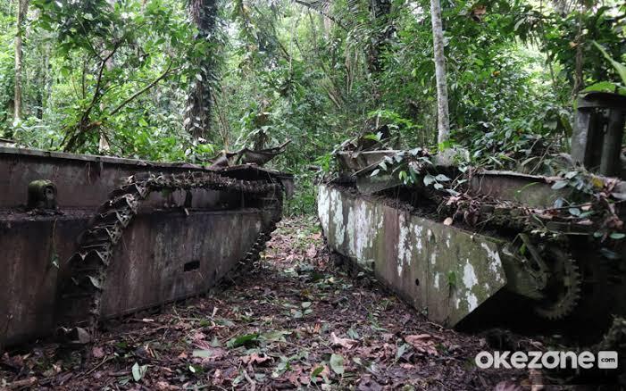 6 Fakta dan Sesuatu yang Unik dari Bumi Papua, No 6 Asli Seram