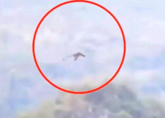 REAL OR FAKE? 4 PENAMPAKAN MAKHLUK MITOLOGI