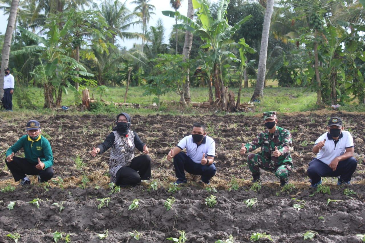Lanal Banyuwangi Laksanakan Program Ketahanan Pangan Di Hari Lingkungan Hidup Sedunia