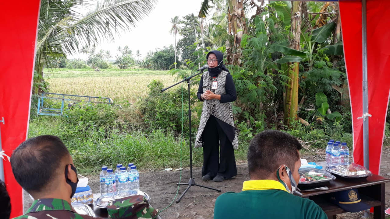 Lanal Banyuwangi Laksanakan Program Ketahanan Pangan Di Hari Lingkungan Hidup Sedunia