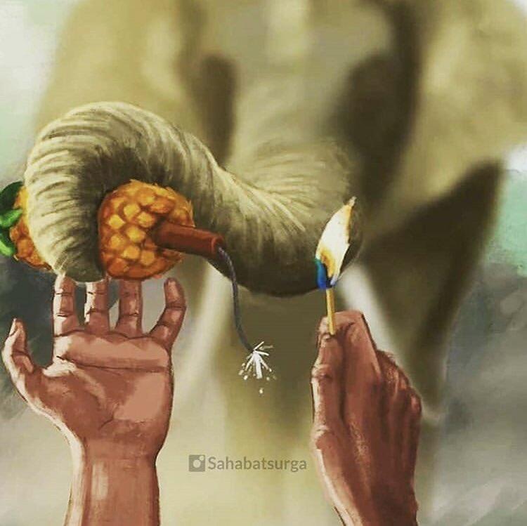 KEJAM, Gajah ini Mati dengan bayi didalam kandungannya
