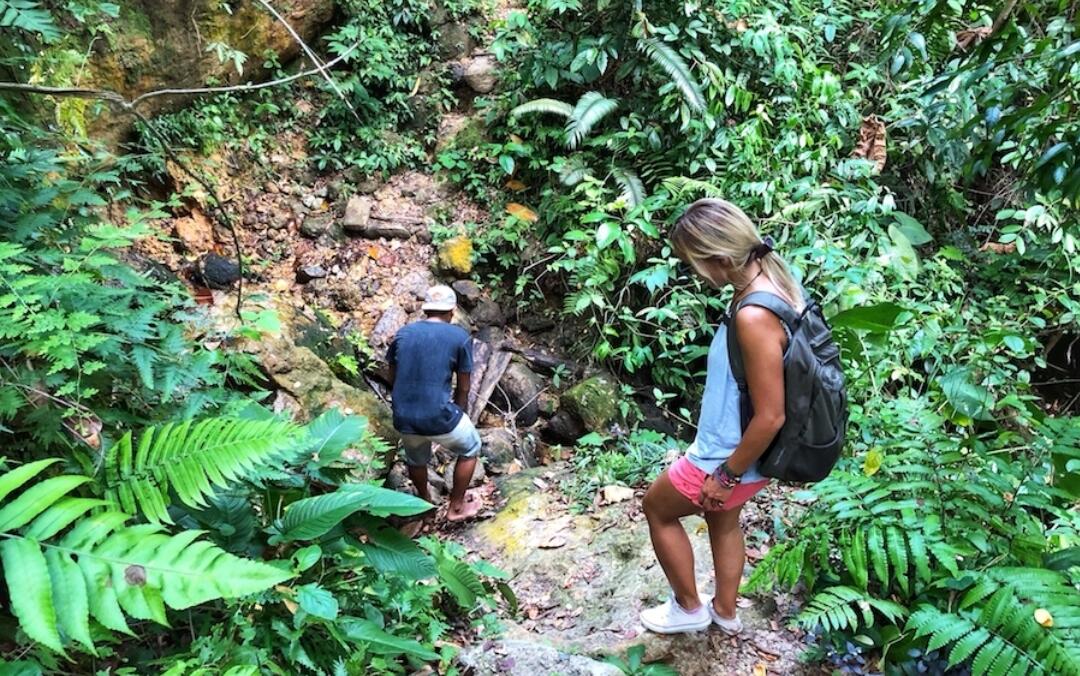 Corona, Turis Wisman Terjebak di Indonesia, Ini yg Mereka Lakukan Di Hutan Sumatera