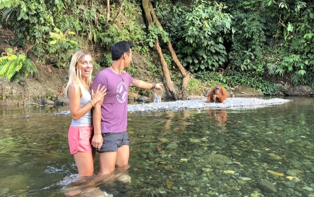 Corona, Turis Wisman Terjebak di Indonesia, Ini yg Mereka Lakukan Di Hutan Sumatera