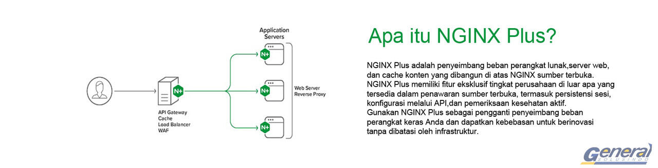 Nginx cannot load certificate. Kerio vs nginx.