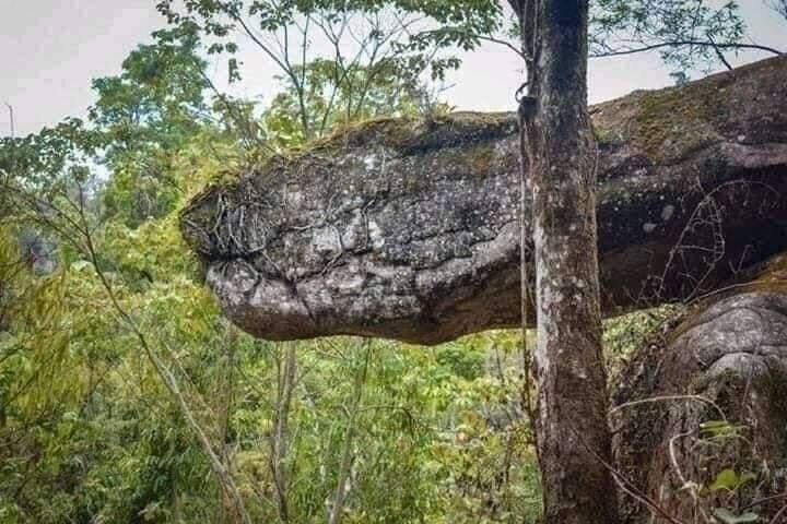 Netizen Heboh 'ULAR RAKSASA' Yang Konon Dikutuk Jadi Batu Di Naka Cave Thailand