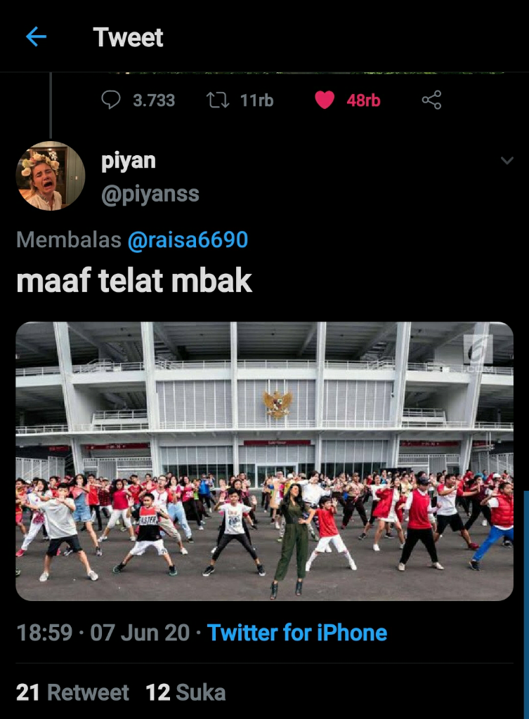 &#91; NGAKAK &#93; Begini Hasilnya Kalau Raisa Minta Editin Foto Sama Warga Twitter 