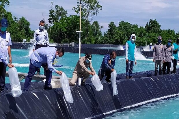 Bupati Pasangkayu Menerima Kunjungan Menteri Kelautan dan Perikanan RI