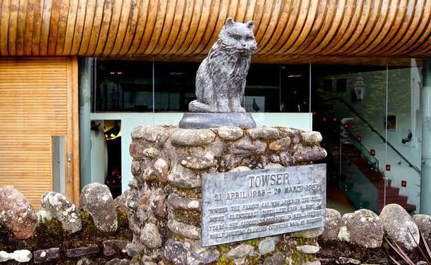 Towser Cat, Pemegang Rekor Dunia Si Penangkap Tikus Terbanyak
