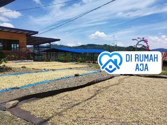 &#91;COC Bisnis&#93; Pandemi Covid-19 Mencekik Petani Kopi, Begini Cara Mereka Bertahan!